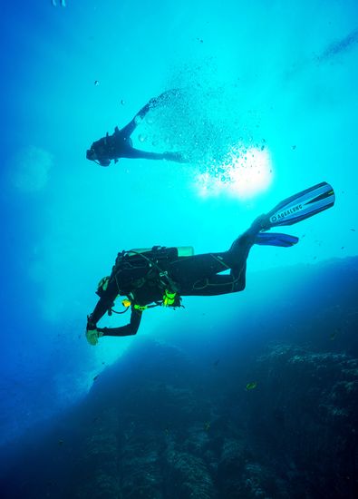Diving in Bali to make the best and worthy trip