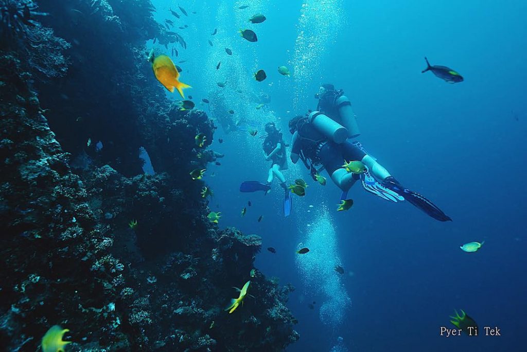 First Time Having Wreck Diving in Bali? Here’s What You Need to Do