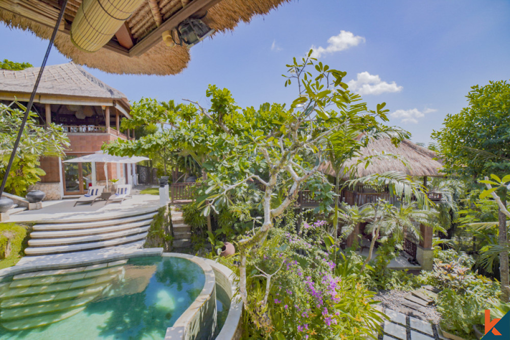 Keeping Your Bali Villas Prime- A Thorough Maintenance Tips