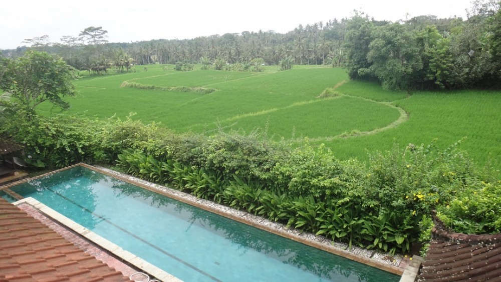 swimming pool villa in Ubud Bali