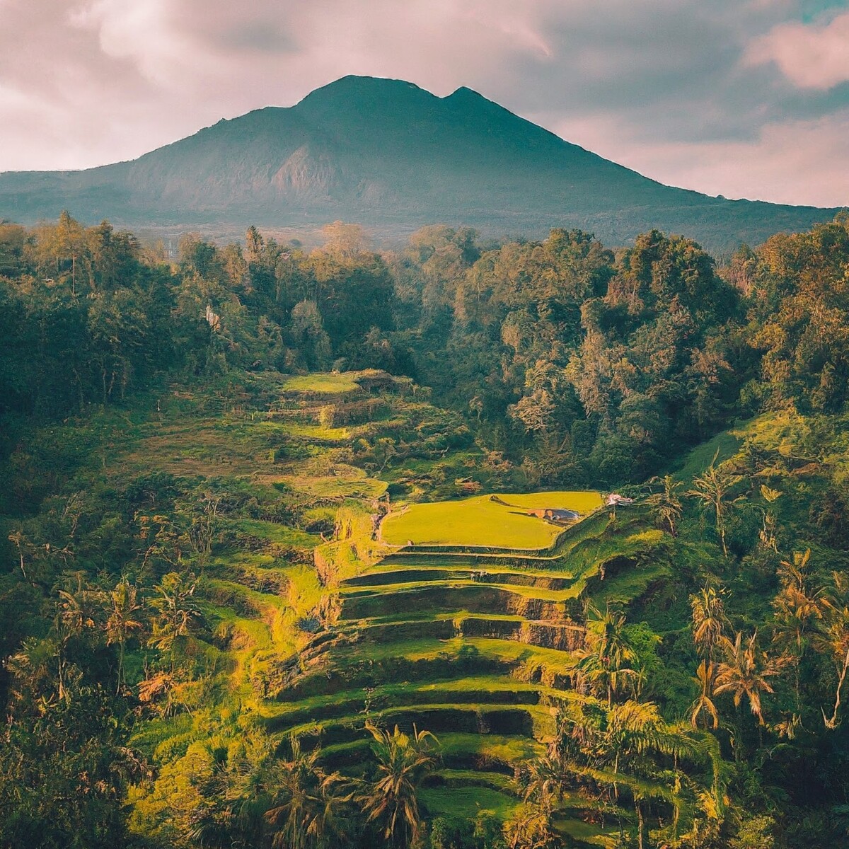 The best spots in Bali for Instagramable post